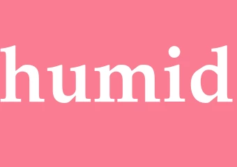 Synonym humid
