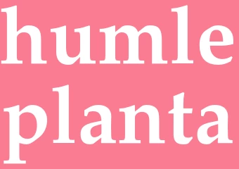 Synonym humleplanta
