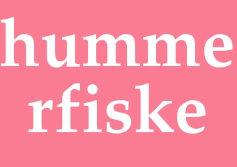Synonym hummerfiske