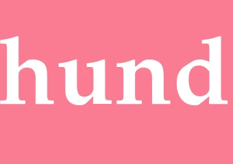 Synonym hund