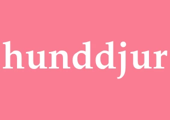 Synonym hunddjur