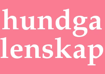 Synonym hundgalenskap