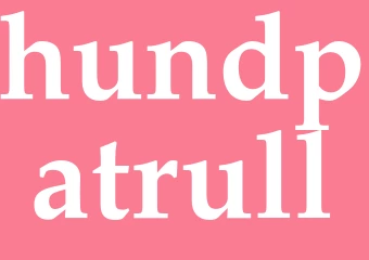 Synonym hundpatrull