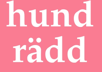 Synonym hundrädd