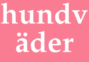 Synonym hundväder