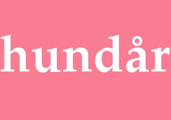 Synonym hundår