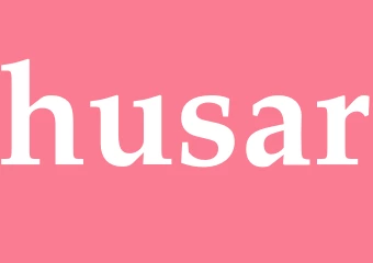 Synonym husar