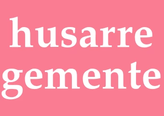 Synonym husarregemente