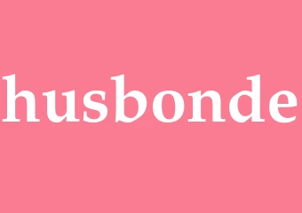Synonym husbonde