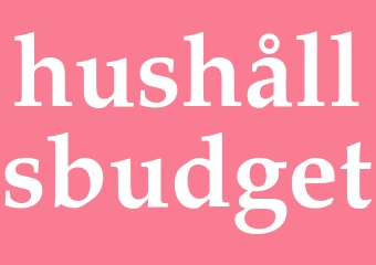 Synonym hushållsbudget