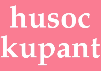 Synonym husockupant