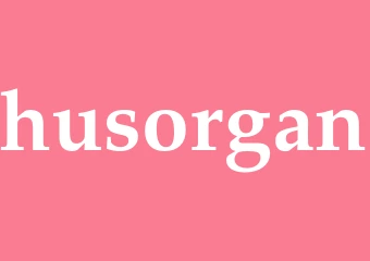 Synonym husorgan