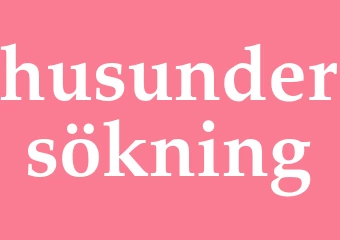 Synonym husundersökning