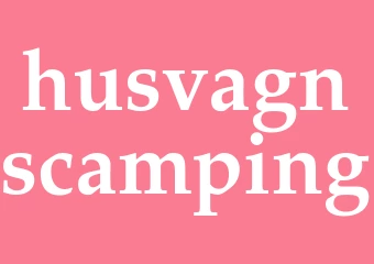 Synonym husvagnscamping