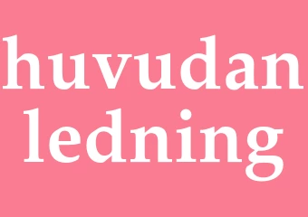 Synonym huvudanledning