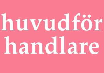 Synonym huvudförhandlare