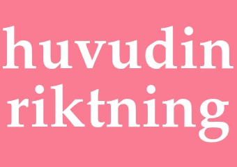 Synonym huvudinriktning