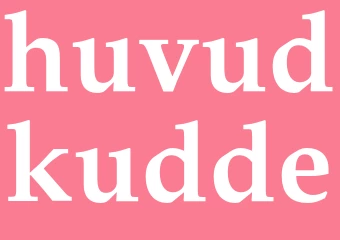 Synonym huvudkudde