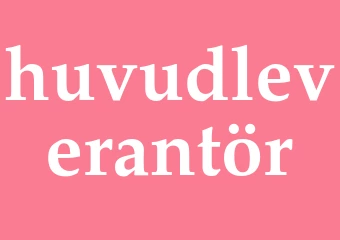 Synonym huvudleverantör
