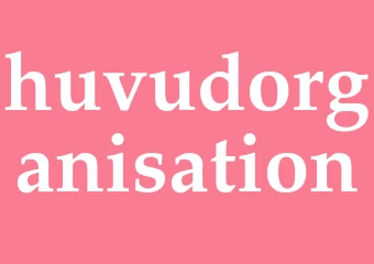 Synonym huvudorganisation