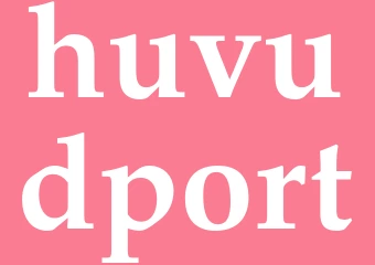 Synonym huvudport