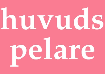 Synonym huvudspelare