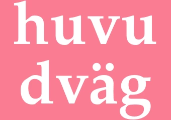 Synonym huvudväg