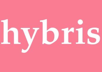 Synonym hybris