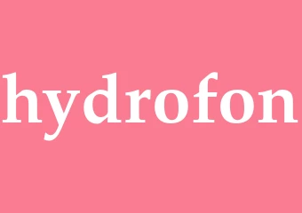 Synonym hydrofon
