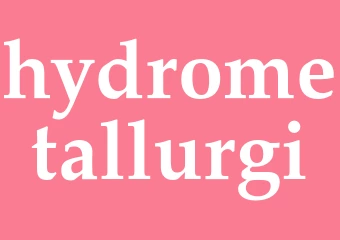 Synonym hydrometallurgi