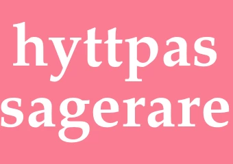 Synonym hyttpassagerare