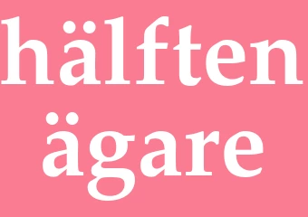 Synonym hälftenägare