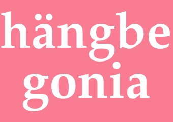 Synonym hängbegonia