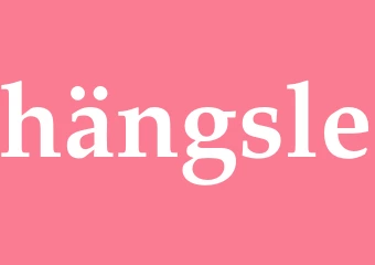Synonym hängsle