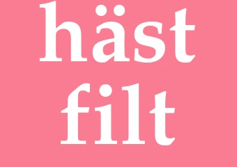 Synonym hästfilt