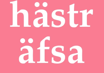 Synonym hästräfsa