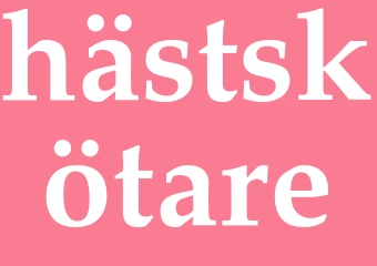 Synonym hästskötare