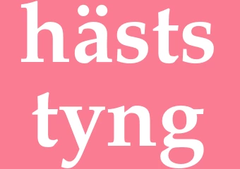 Synonym häststyng