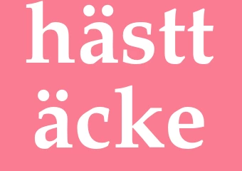 Synonym hästtäcke