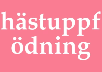 Synonym hästuppfödning