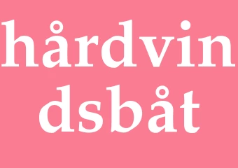 Synonym hårdvindsbåt