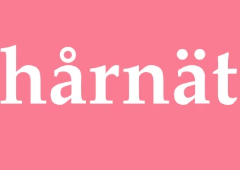 Synonym hårnät