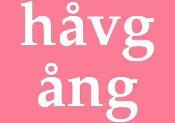 Synonym håvgång