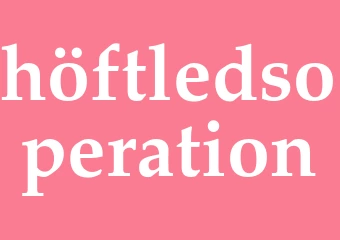 Synonym höftledsoperation