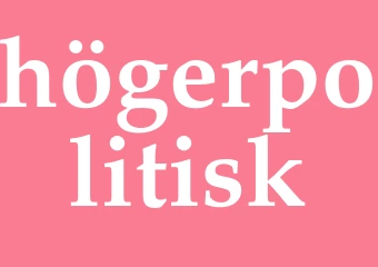 Synonym högerpolitisk