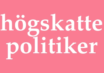 Synonym högskattepolitiker