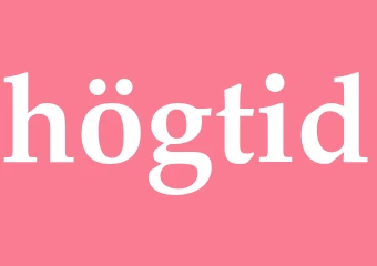 Synonym högtid