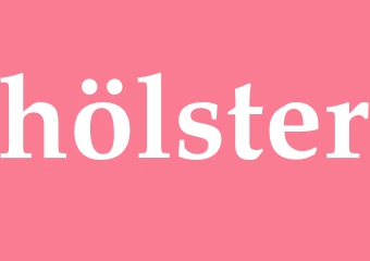 Synonym hölster