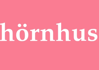 Synonym hörnhus