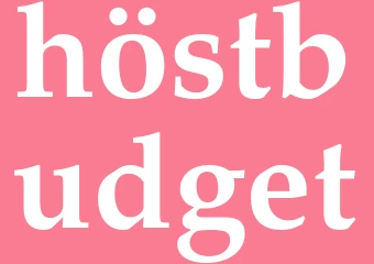 Synonym höstbudget